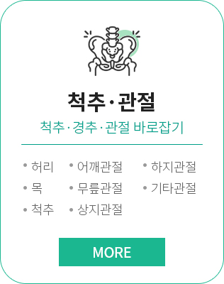 척추,관절